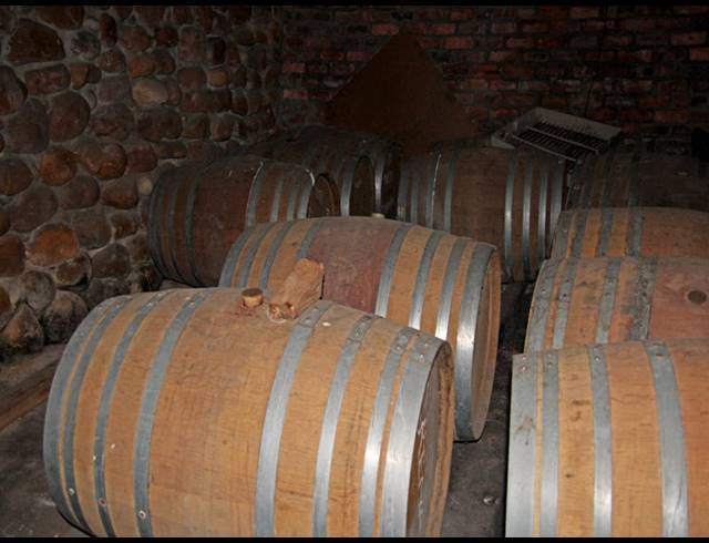 69HA FARM FOR SALE IN BOT RIVER